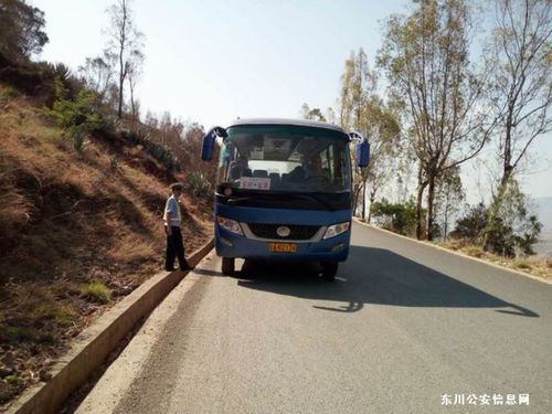集中整治