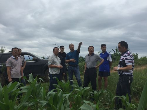 QQ图片20170710084738