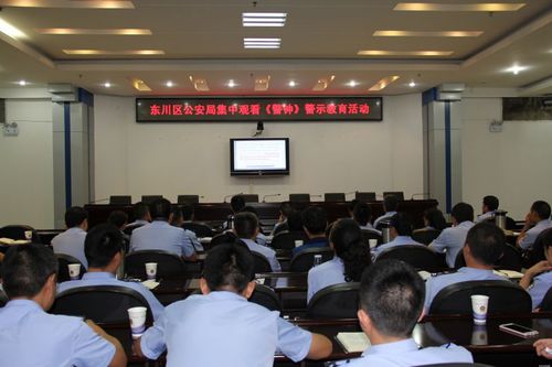 区局开展警示教育活动组织观看《警钟》系列警示教育片1