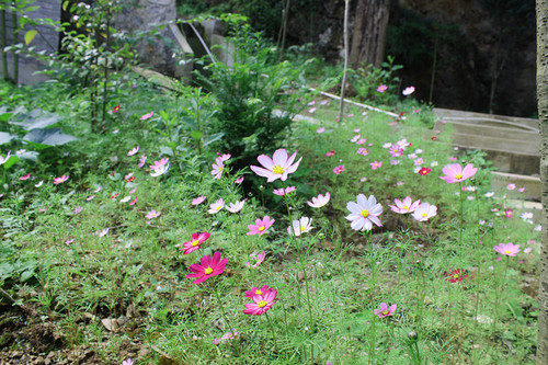 IMG_5720 IMG_5720