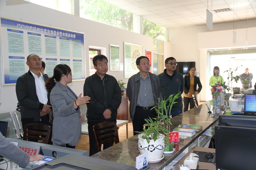 李建阳书记调研走访铜都街道碧云社区视频监控建设