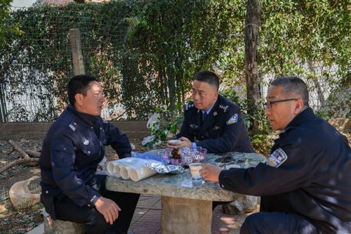 王丽昆副区长除夕深入各地检查春节安保工作亲切慰问一线公安民警3