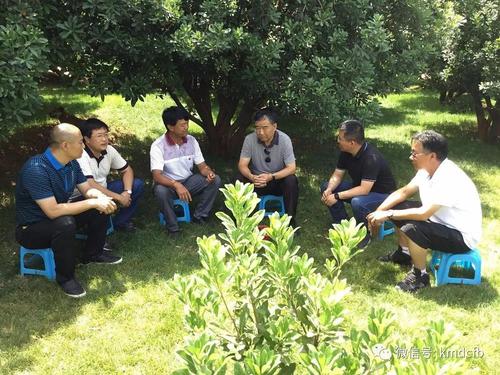 微信图片_20180524155529