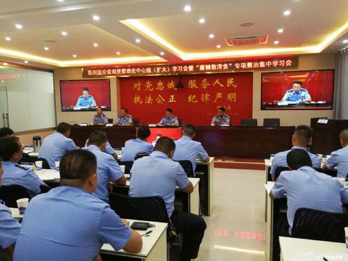 区公安局召开党委理论中心组（扩大）学习会暨“庸懒散滑贪”专项整治集中学习会2