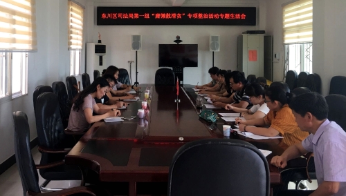 东川区司法局第一组“庸懒散滑贪”专项整治活动专题生活会（7.11）2