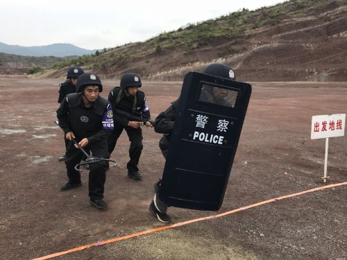 区公安局喜获2018年全市特警异地拉动演练暨特警擂台比武两奖项3