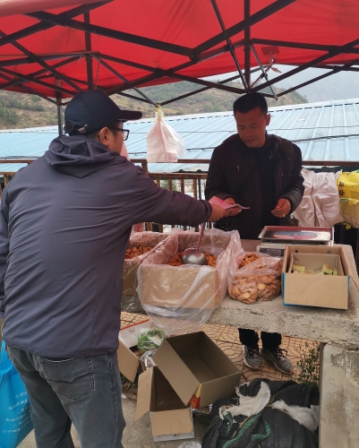 红土地镇知识产权日法治宣传1