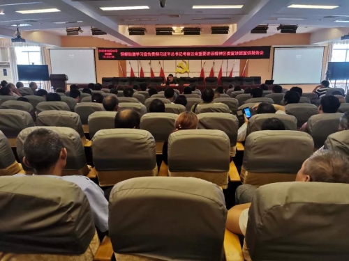（图片）铜都街道开展学习贯彻习近平总书记考察云南讲话精神宣讲活动