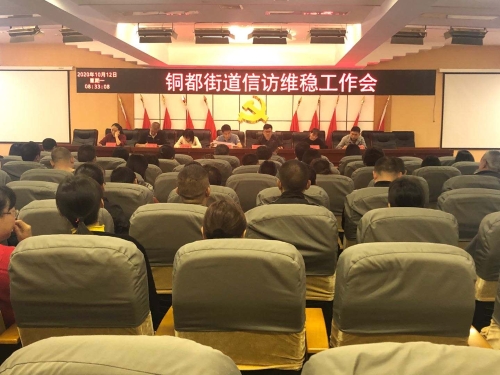 铜都街道贯彻落实东川区信访维稳工作专题会议精神图片3