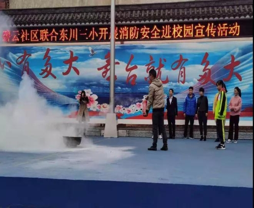 碧云社区开展消防安全进校园活动 图片2
