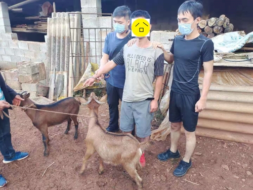 微信图片_20210802170525