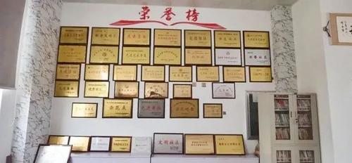 所获奖牌