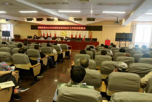 铜都街道召开降雨降温防护工作安排部署会 (1)