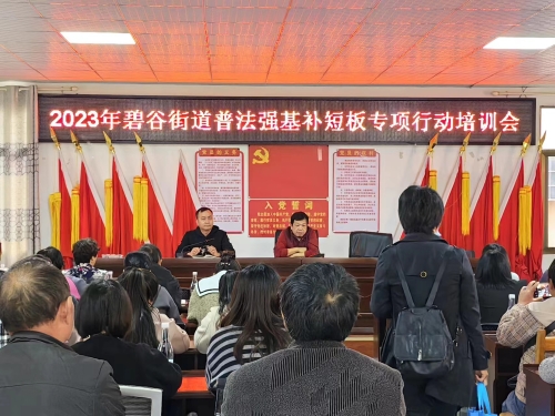 碧谷街道召开2023年普法强基补短板专项行动培训会  图片